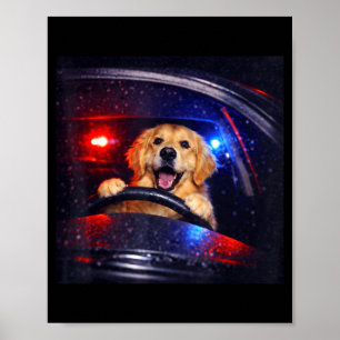 Poster Golden retriever engraçado dirigindo meme cachorro