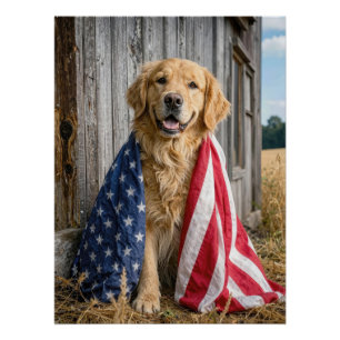 Póster Golden Retriever Envolto em uma Bandeira Americana
