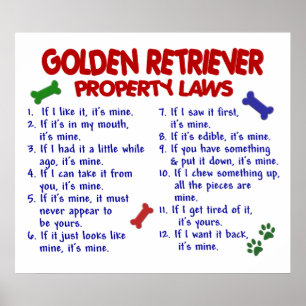 POSTER GOLDEN RETRIEVER PL2