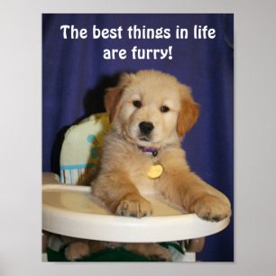 Póster Golden Retriever Pup Best Things in Life are Furry