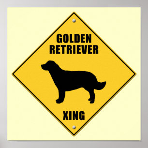 Póster Golden retriever que cruza o sinal (XING)