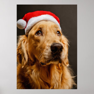Póster Golden retriever que levanta para seu Natal