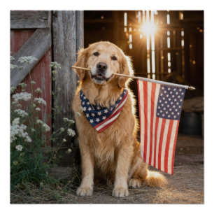 Póster Golden Retriever segurando uma bandeira americana