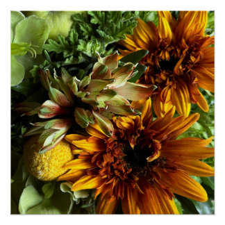 Póster Golden Teddy Bear Sunflower & Alstroemeria Poster