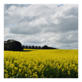 Póster Golden Waves of Streatham