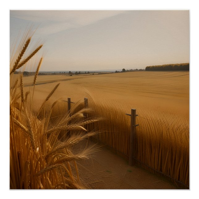 Póster Golden Wheat Path – Rustic Summer Landscape (Frente)