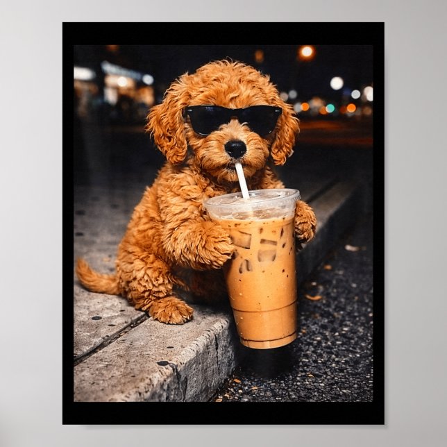Poster Goldendoodle bebendo café gelado meme engraçado de (Frente)