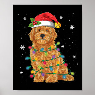 Poster Goldendoodle Natal Chapéu do Papai Noel Luzes de F