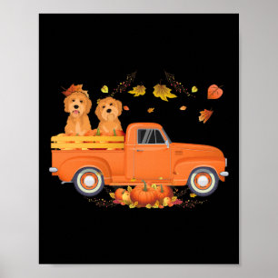 Poster Goldendoodle Pumpkin Caminhão Cai Folha de Graças
