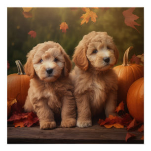 Póster Goldendoodle Puppy Autumn Delight Pumpkin