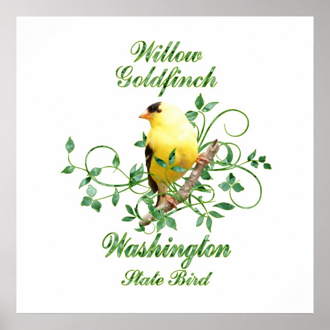 Poster Goldfinch Washington State Bird (Frente)