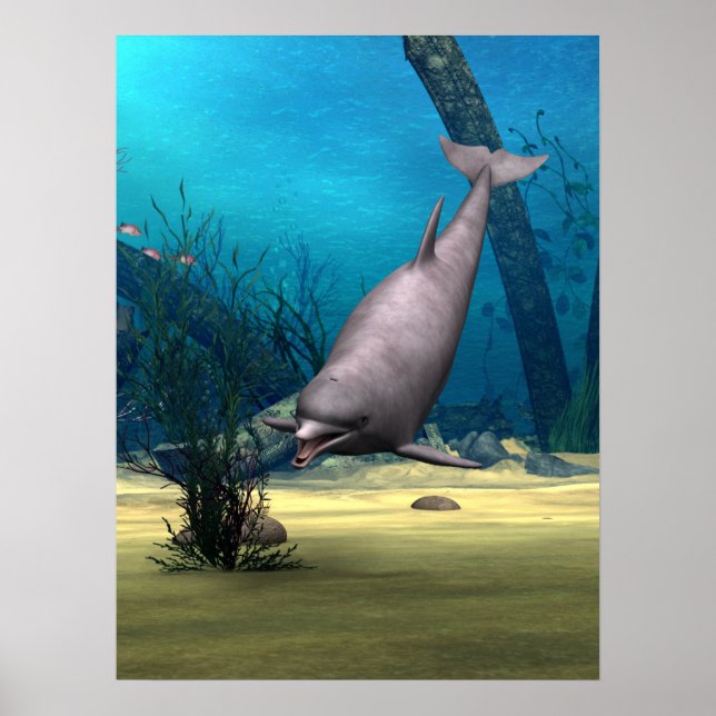 Póster Golfinho (Frente)
