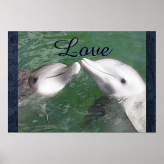 Poster Golfinho Ama Água Peixe Cachorro Marinho
