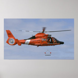 Póster Golfinho da guarda costeira MH-65