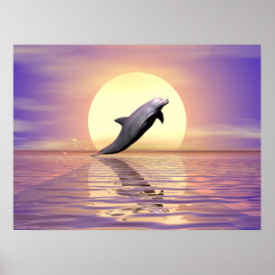 Póster Golfinho de Sun
