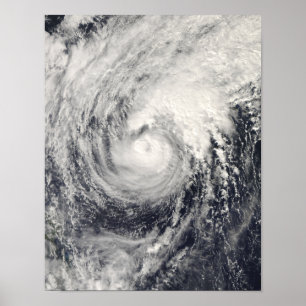 Póster Golfinho de tufão no mar das Filipinas