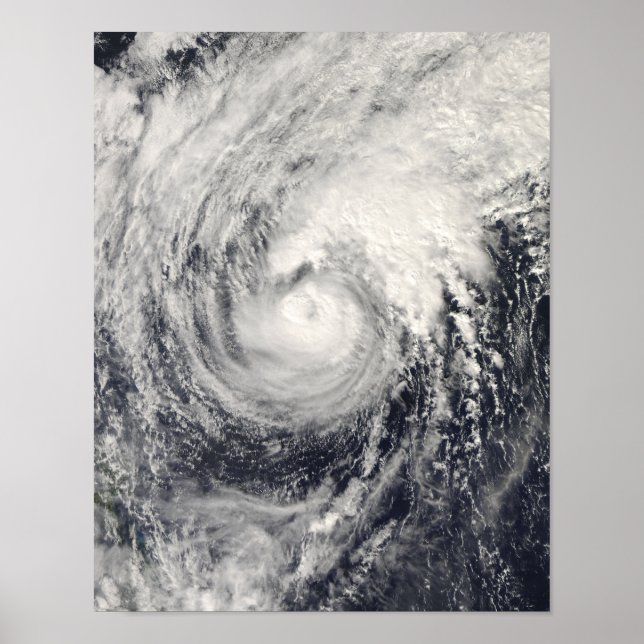 Póster Golfinho de tufão no mar das Filipinas (Frente)