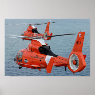 Poster Golfinho HH-65