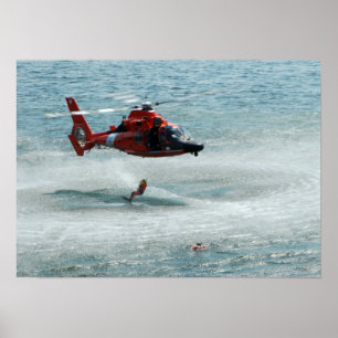 Póster Golfinho HH-65