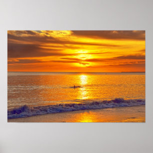 Poster Golfinho no por do sol, praia de Fort Myers,