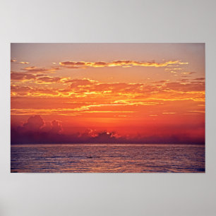 Poster Golfinho que pula no nascer do sol
