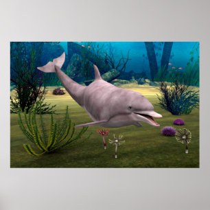 Póster Golfinho sorridente