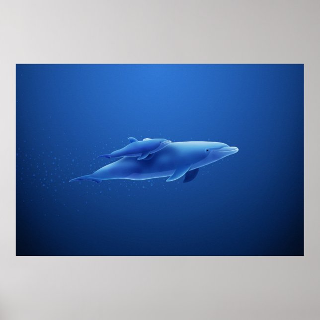 Póster Golfinhos (Frente)