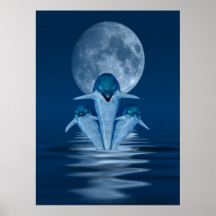 Póster Golfinhos