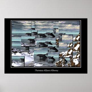 Póster Golfinhos De Gelo