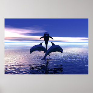 Poster Golfinhos do amanhecer