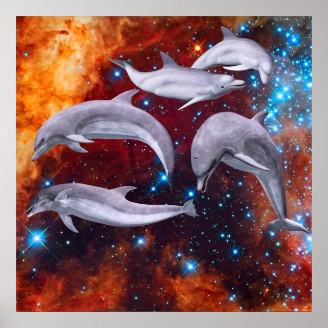 Poster Golfinhos Estrelas (Frente)