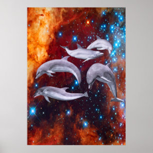Poster Golfinhos Estrelas