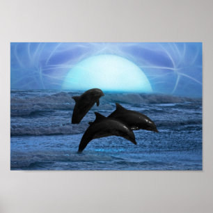 Poster Golfinhos pelo luar