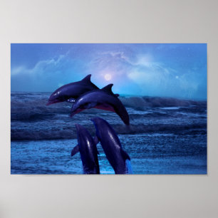 Póster Golfinhos que jogam no oceano