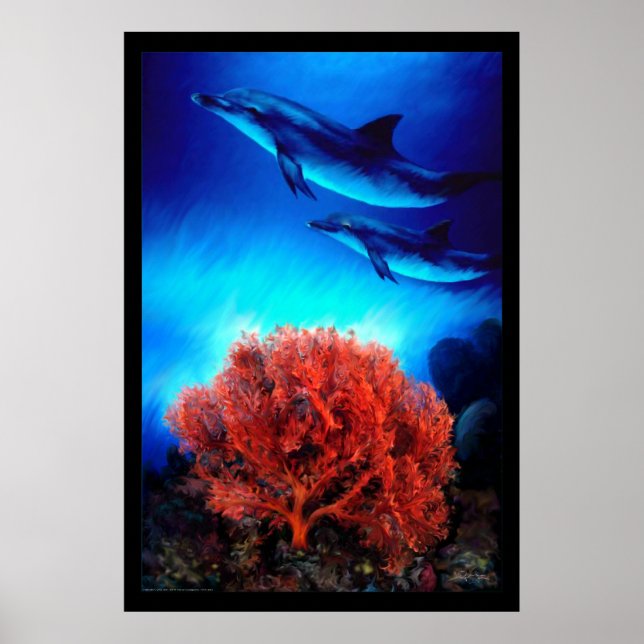 Poster Golfinhos sobre corais (Frente)