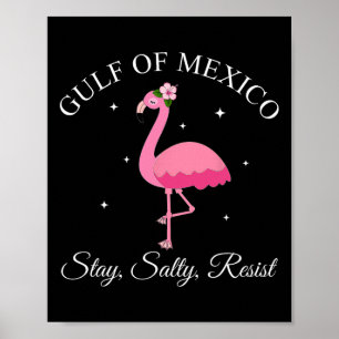 Poster Golfo Do México: Sally Resiste