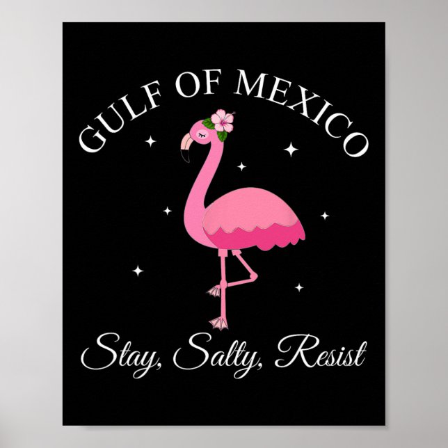 Poster Golfo Do México: Sally Resiste (Frente)