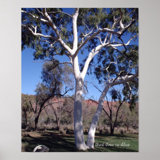 Póster Goma Fantasma em Alice