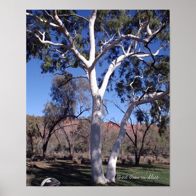 Póster Goma Fantasma em Alice (Frente)