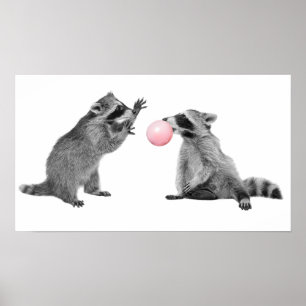 Poster Gomas de Mascarear de Guaxinins Fofos Berçário Inf
