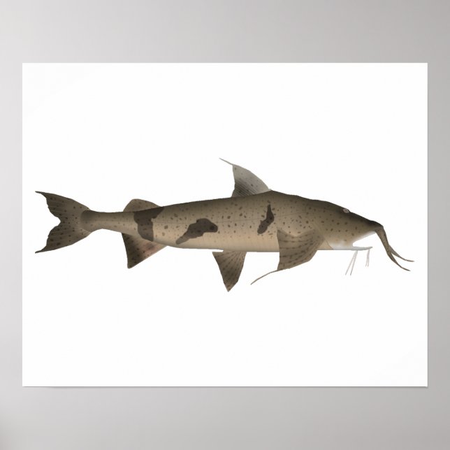 Poster Goonch (Frente)