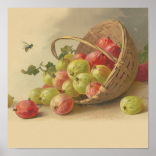 Póster Gooseberries do vintage