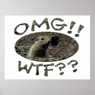 Poster Gopher de OMG WTF