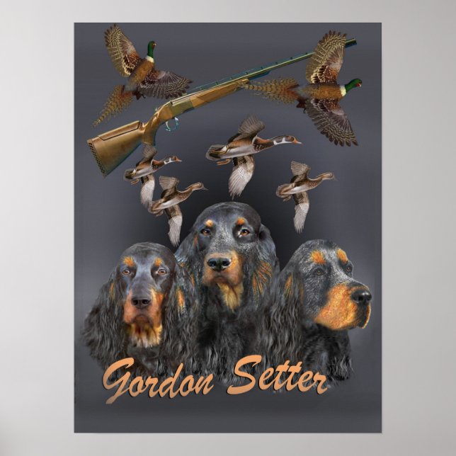 Póster Gordon Setter caçou trio (Frente)