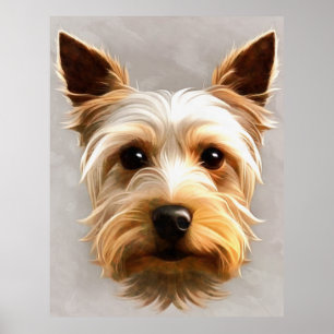 Poster Gorgeous Cute Yorkshire Terrier Puppy Floating