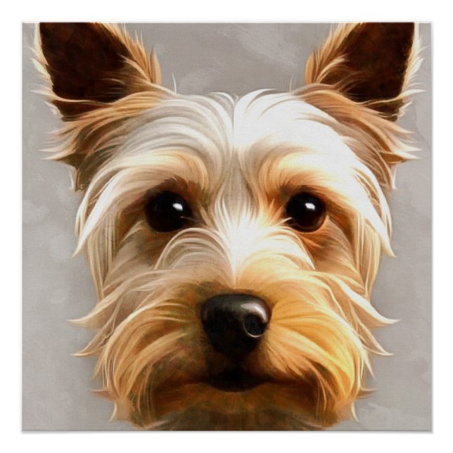 Póster Gorgeous Cute Yorkshire Terrier Puppy Floating (Frente)