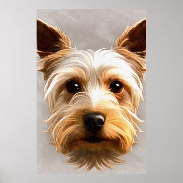 Poster Gorgeous Cute Yorkshire Terrier Puppy Floating (Frente)