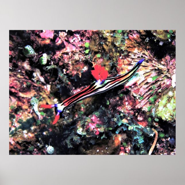Poster Gorgeous Nudi (Frente)