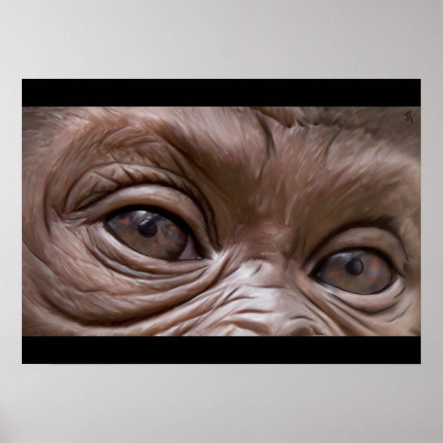 Poster gorila (Frente)