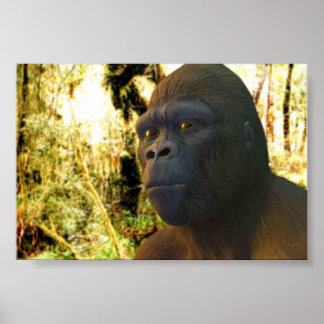 Poster Gorila 2